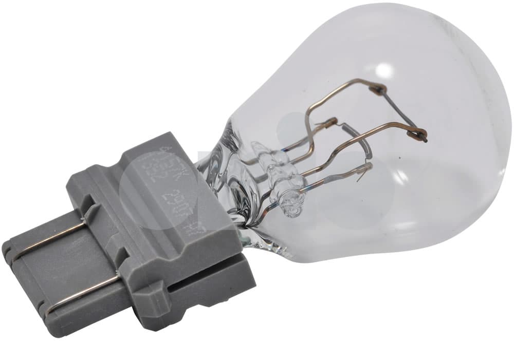 Bulb