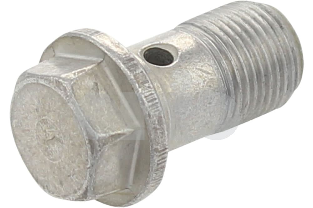 Hollow screw