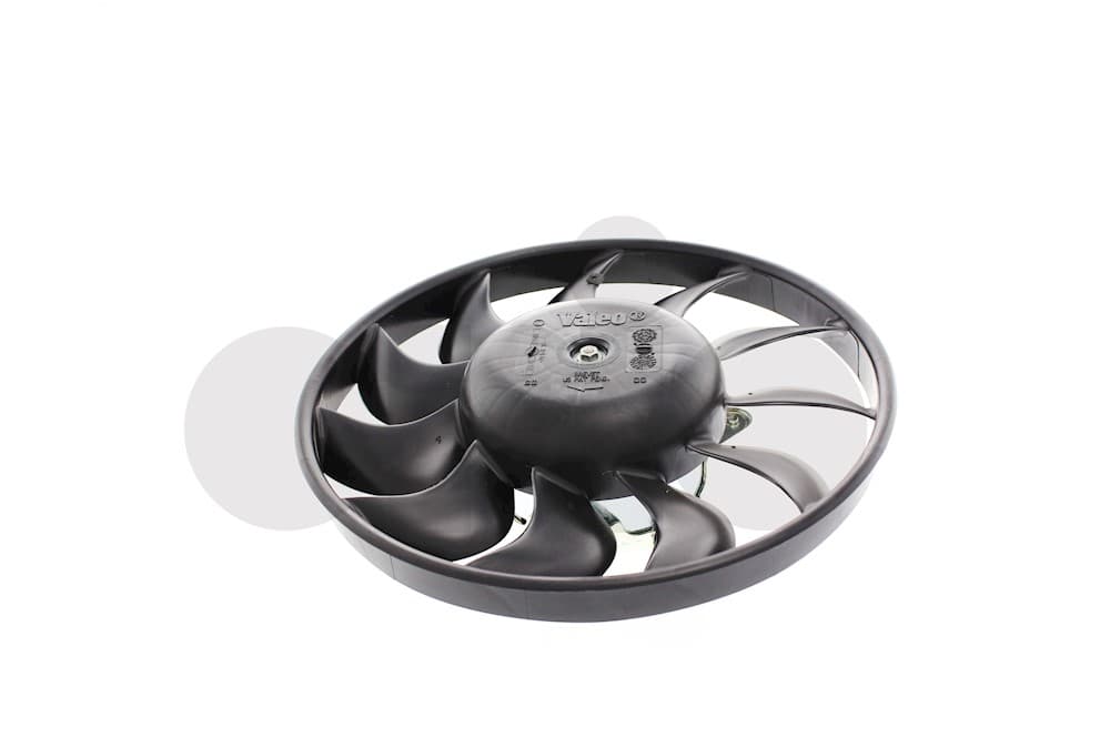 Fan
