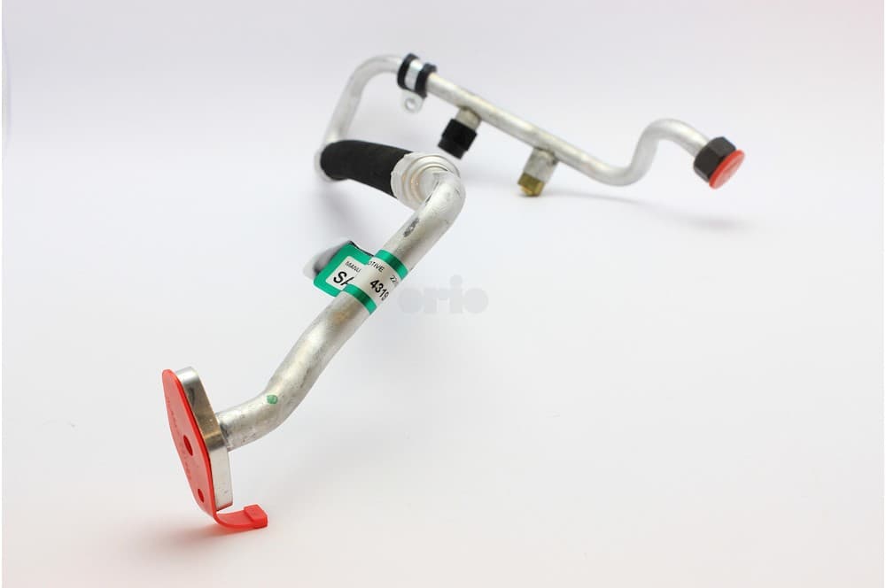 Hose