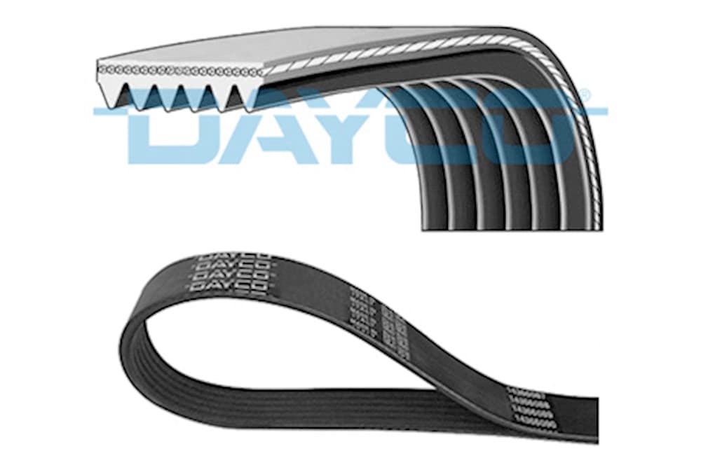V-Ribbed Belts