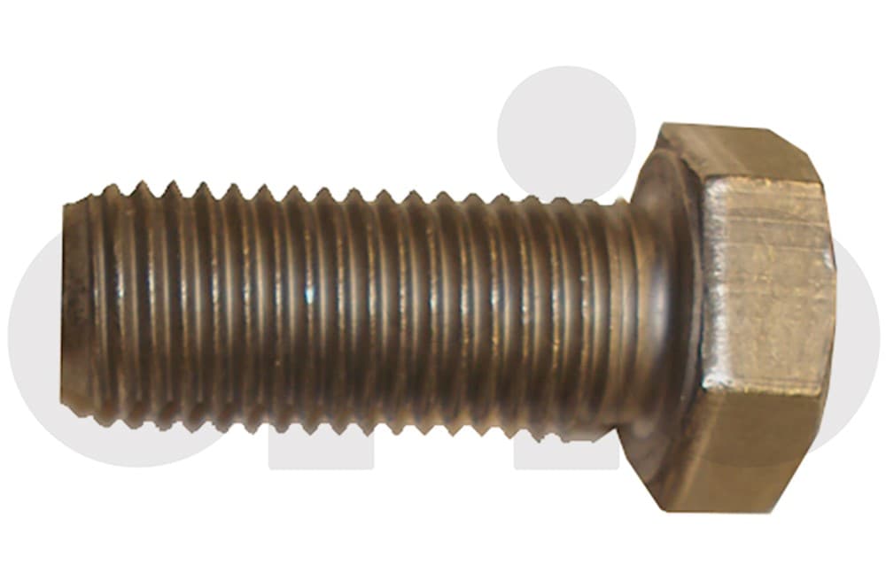 Screw