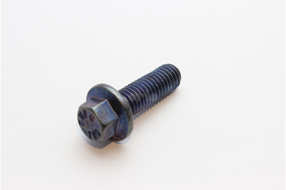 Screw