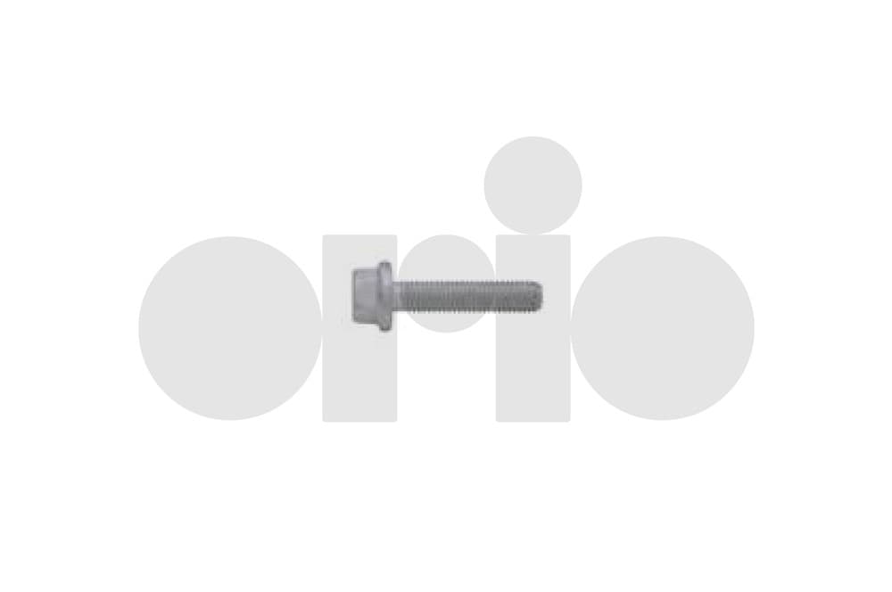 Hexagon Screw