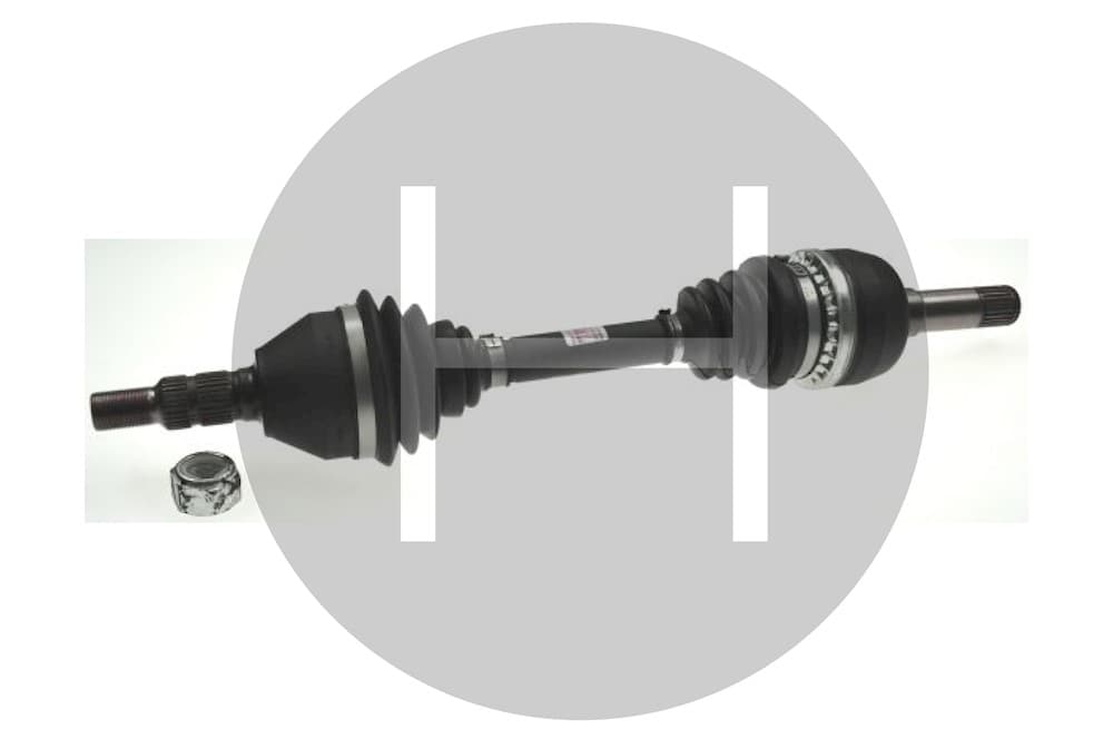 Axle Shaft