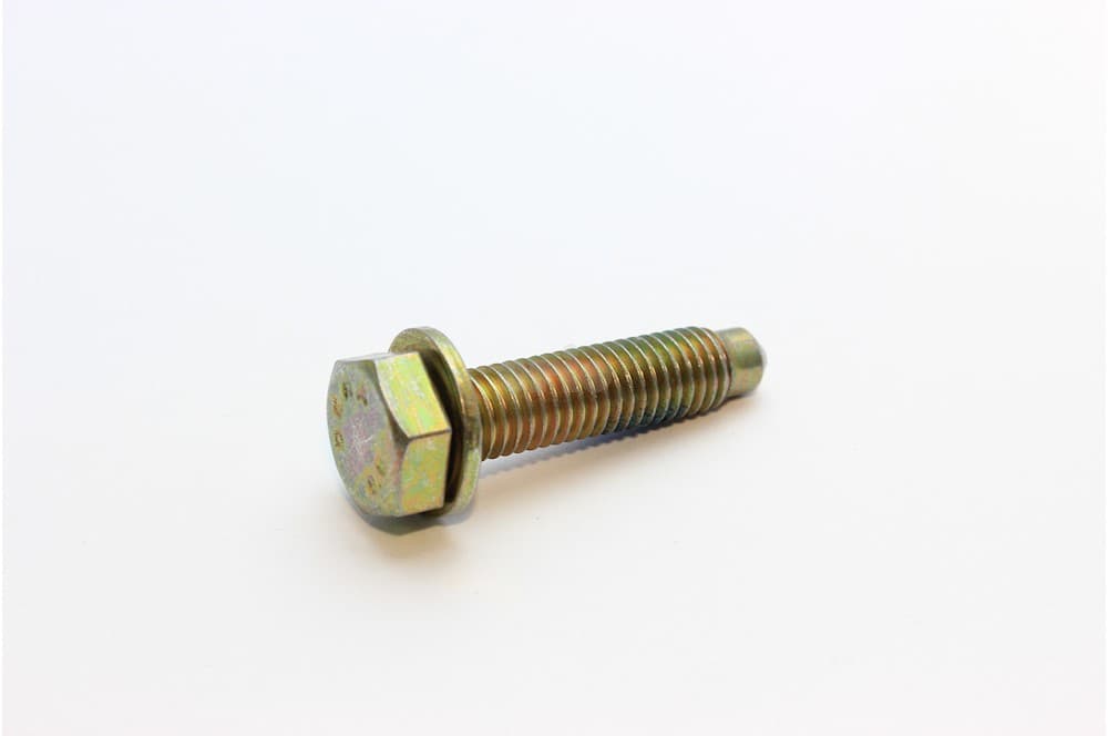 Screw