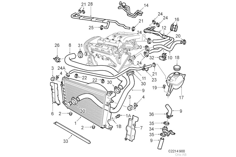Radiator hose