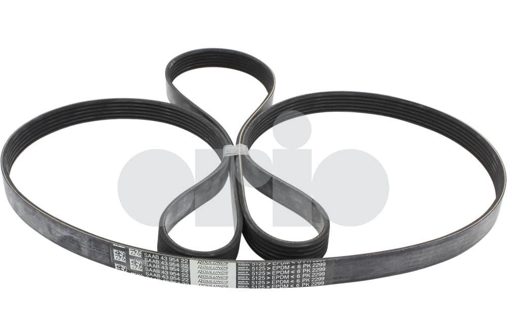 Belt