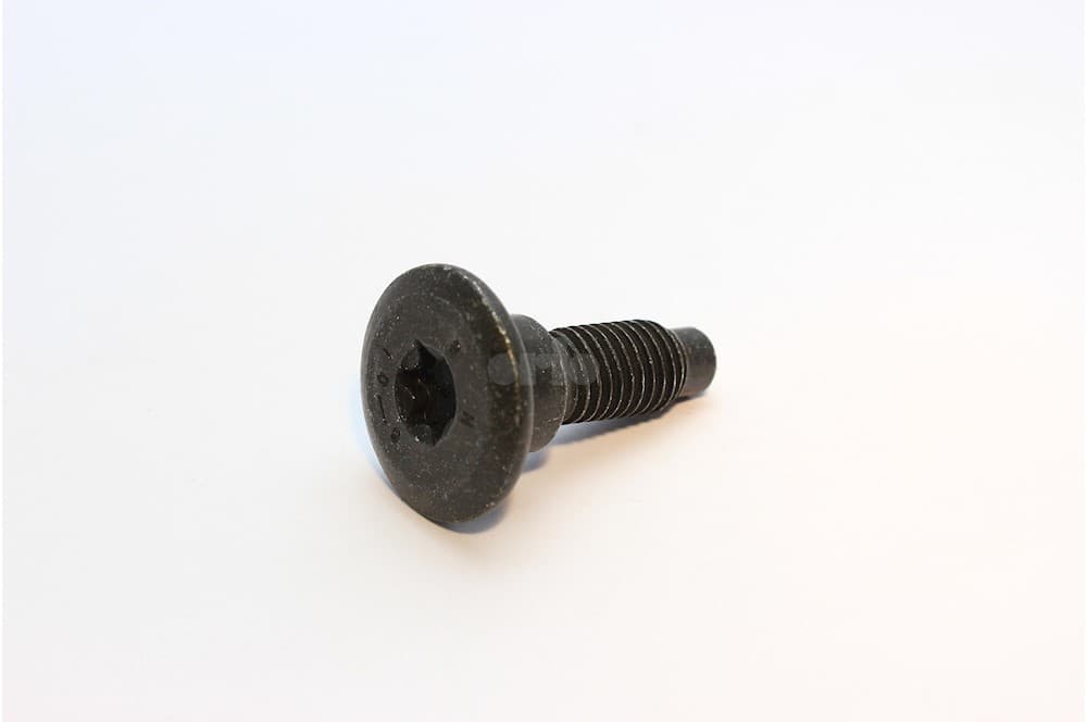 Screw
