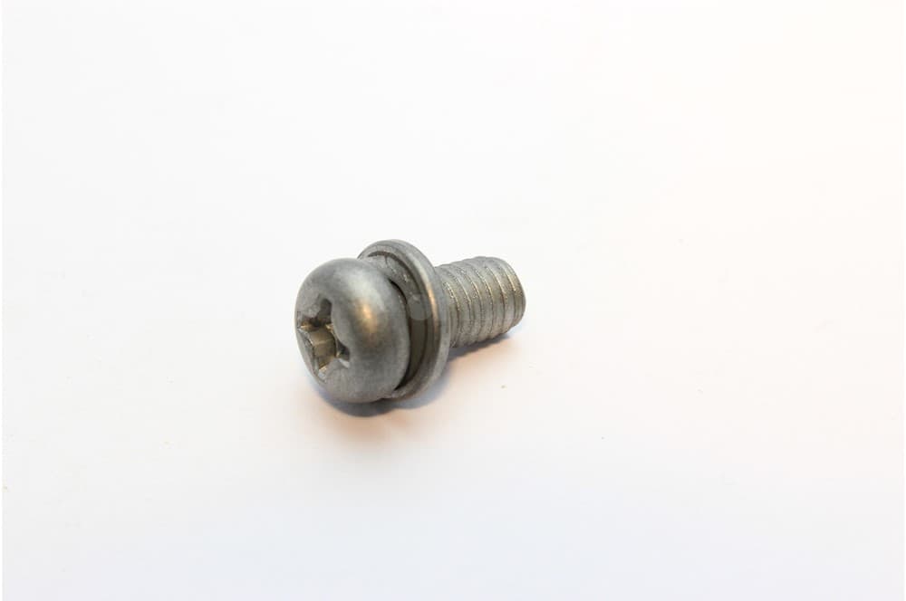 Screw