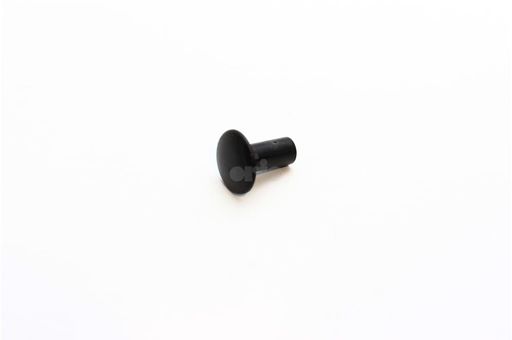 Rivet