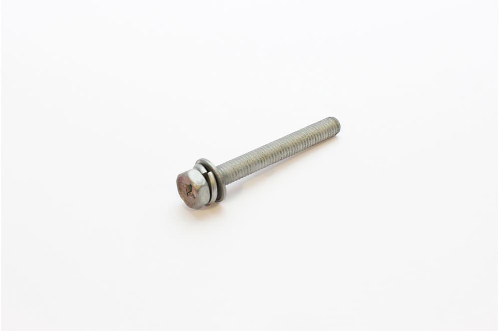Screw