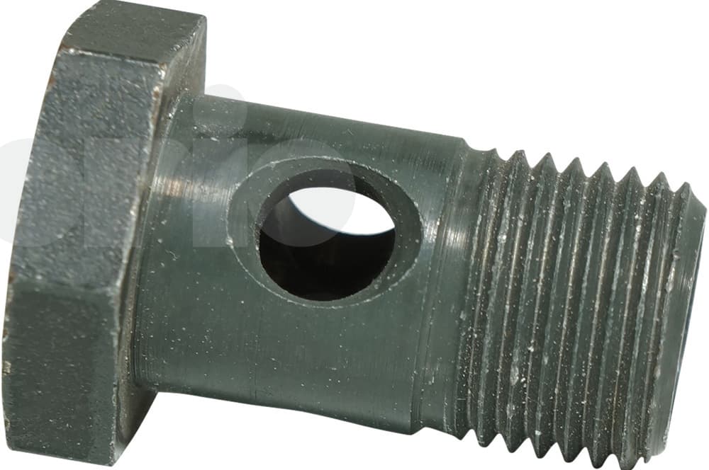 Hollow screw