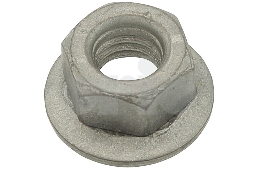 Nut-1