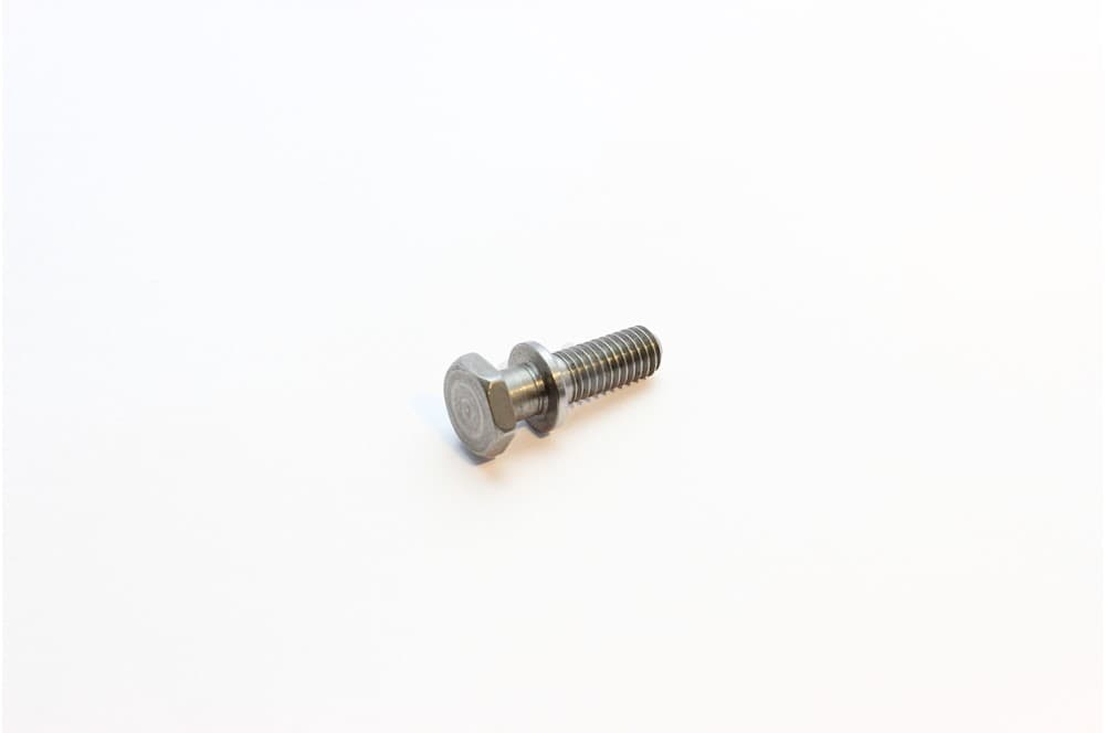 Screw