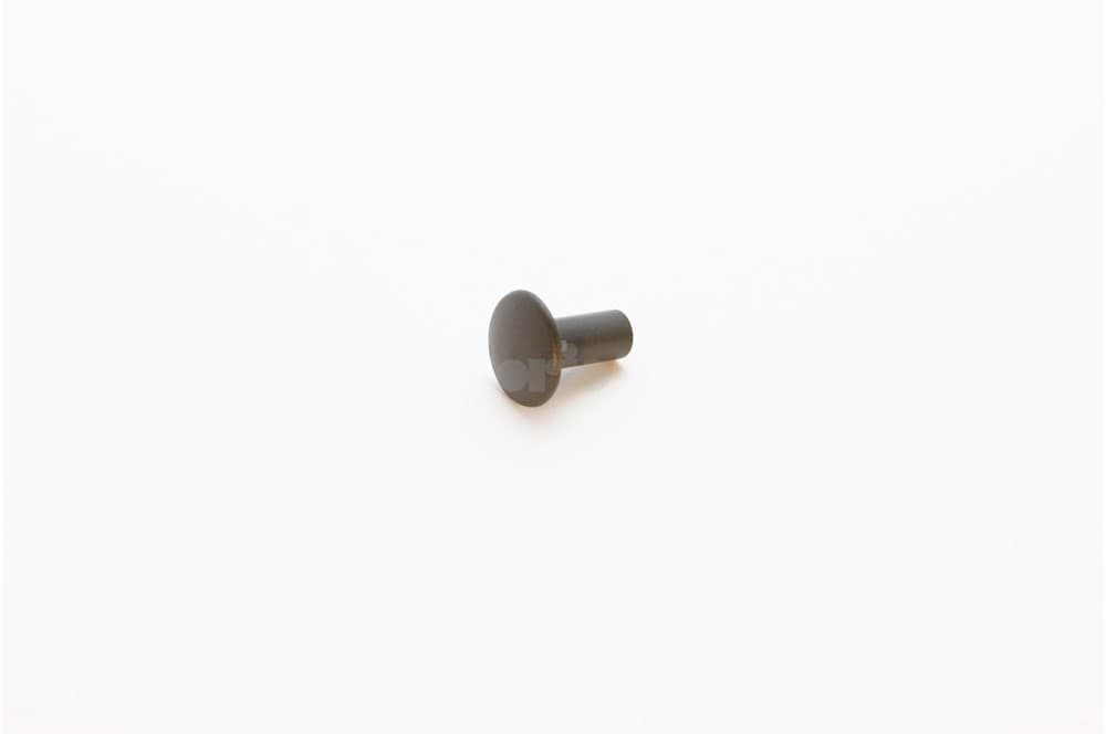 Rivet