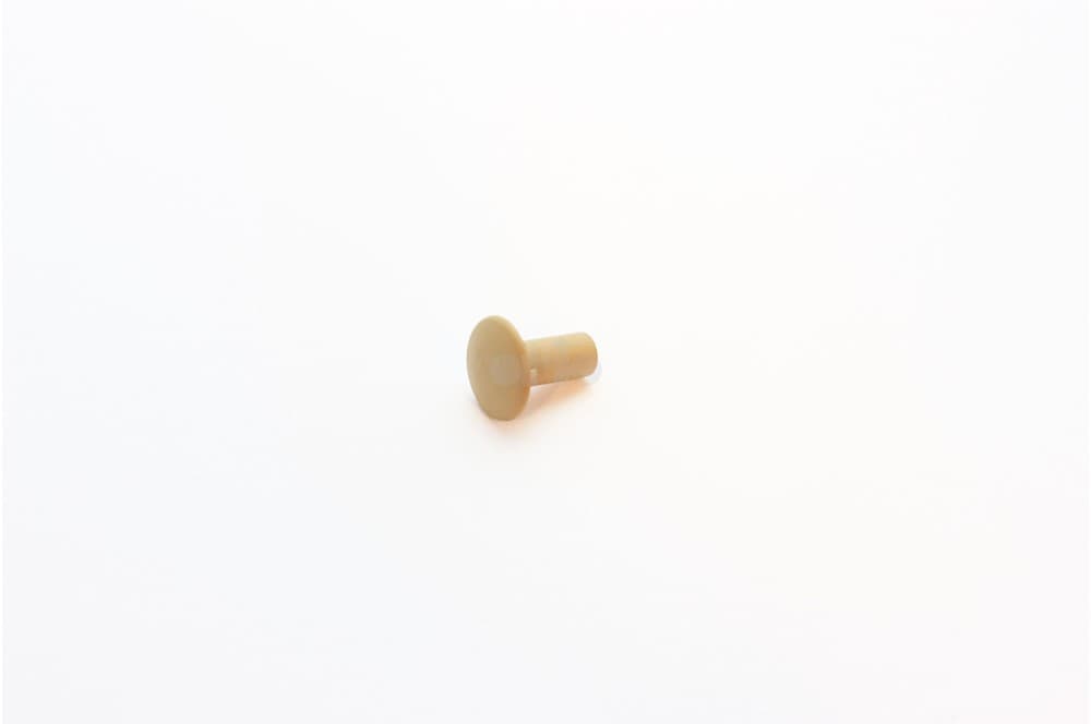 Rivet