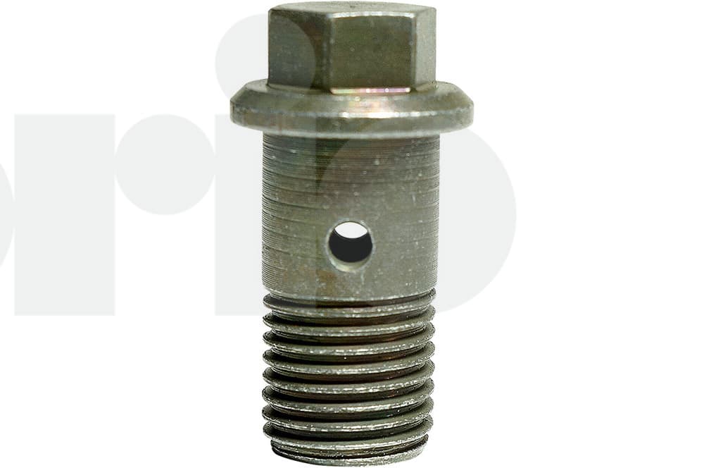 Hollow screw
