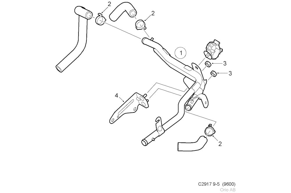 Hose