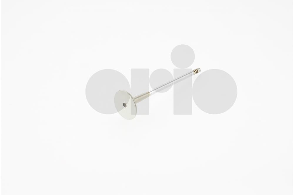 Exhaust valve