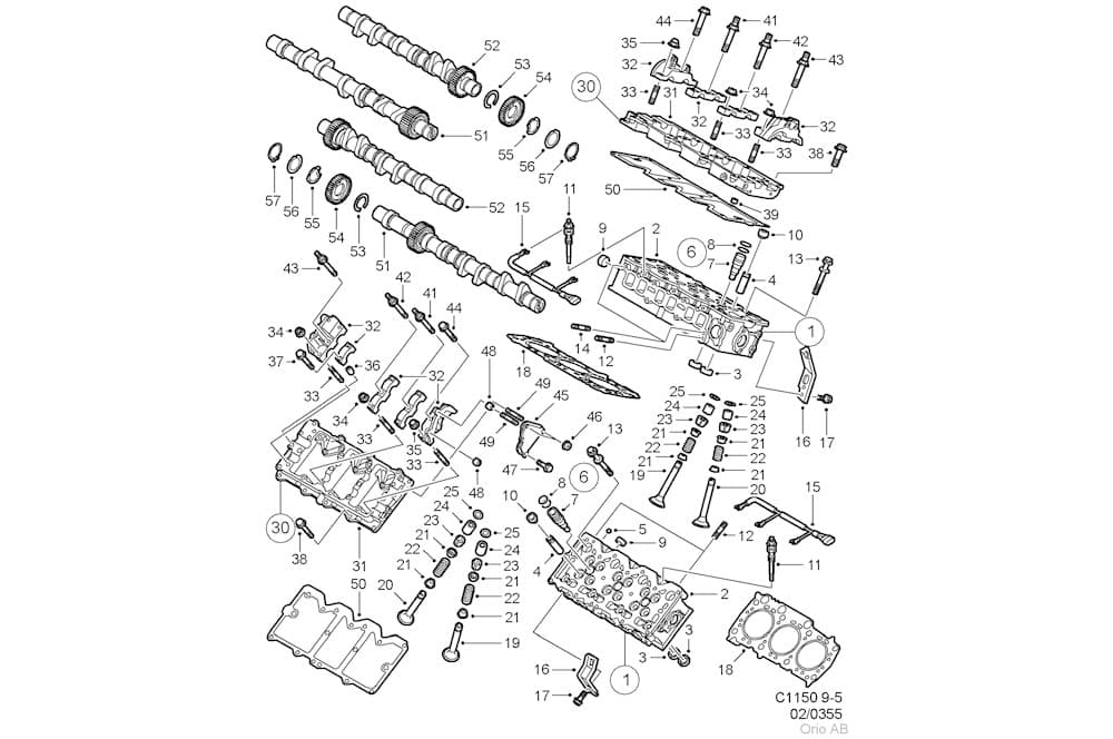 Screw-1