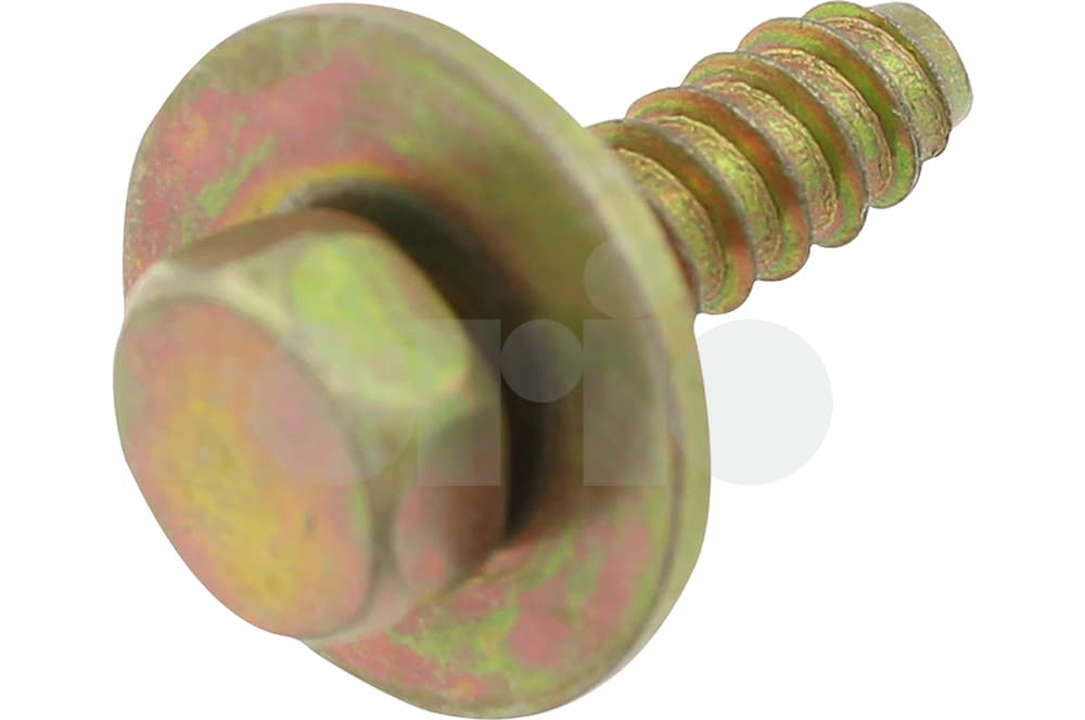 Screw