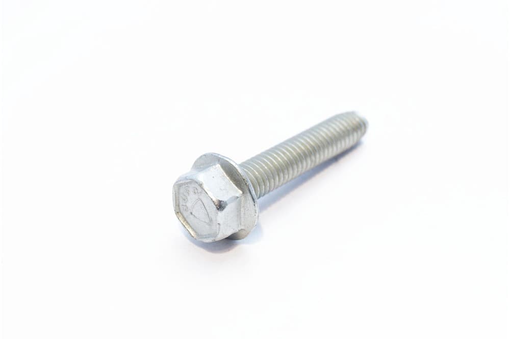Screw