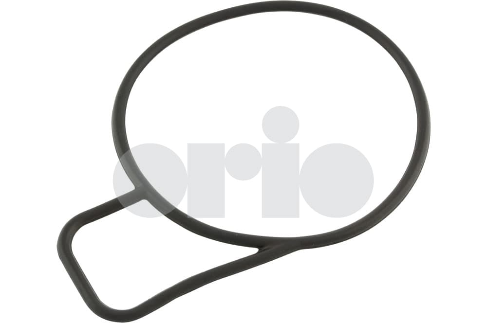 O-ring