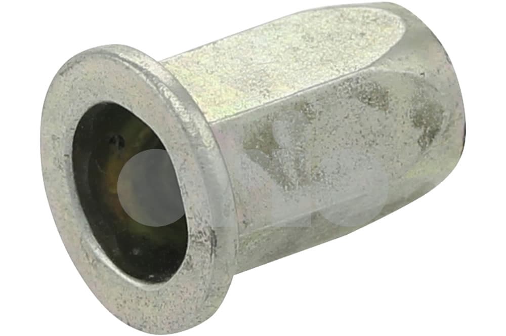 Blind rivet nut
