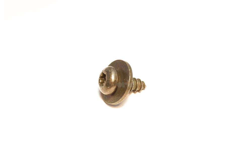 Screw