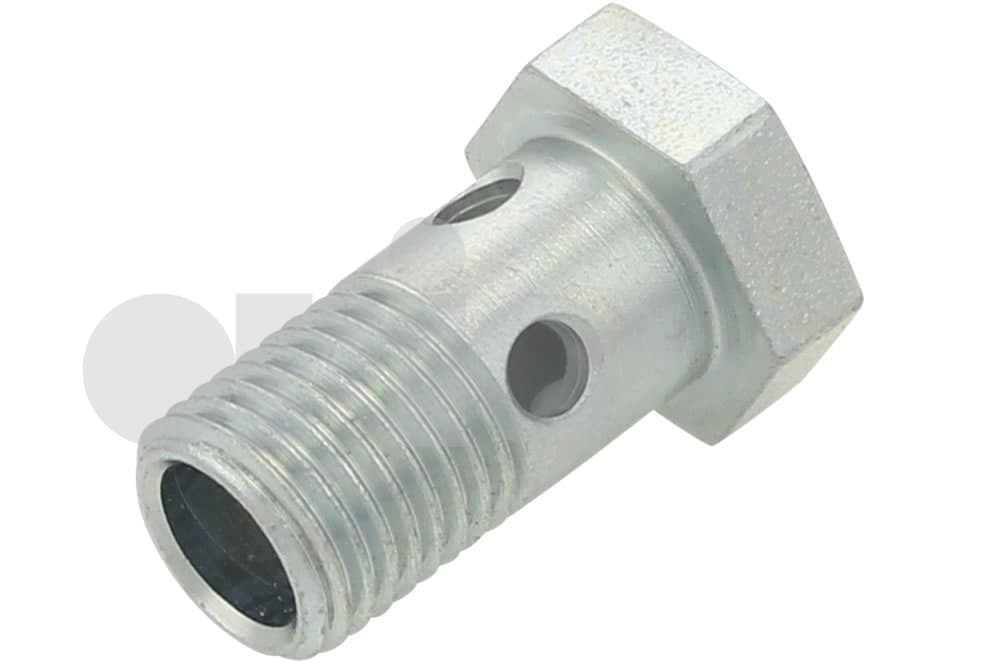 Hollow screw