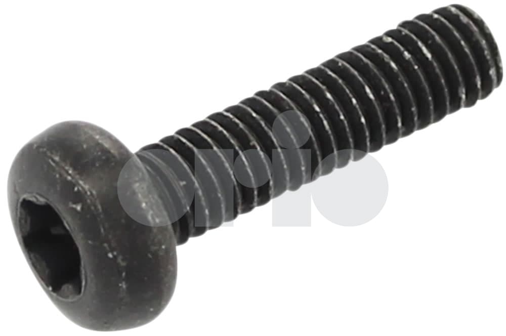 Screw