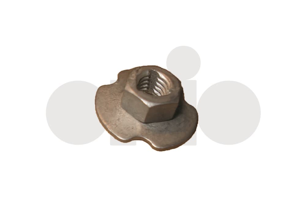 Nut