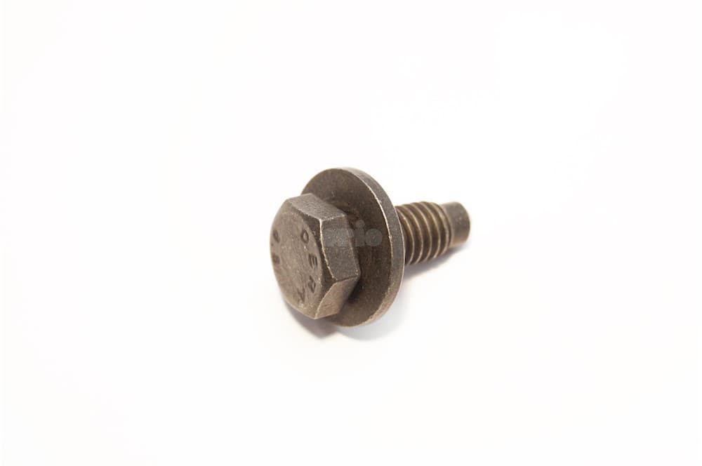 Screw