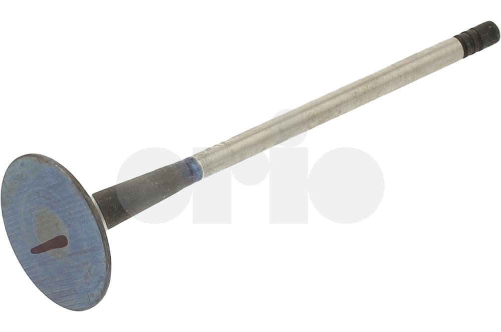 Exhaust valve