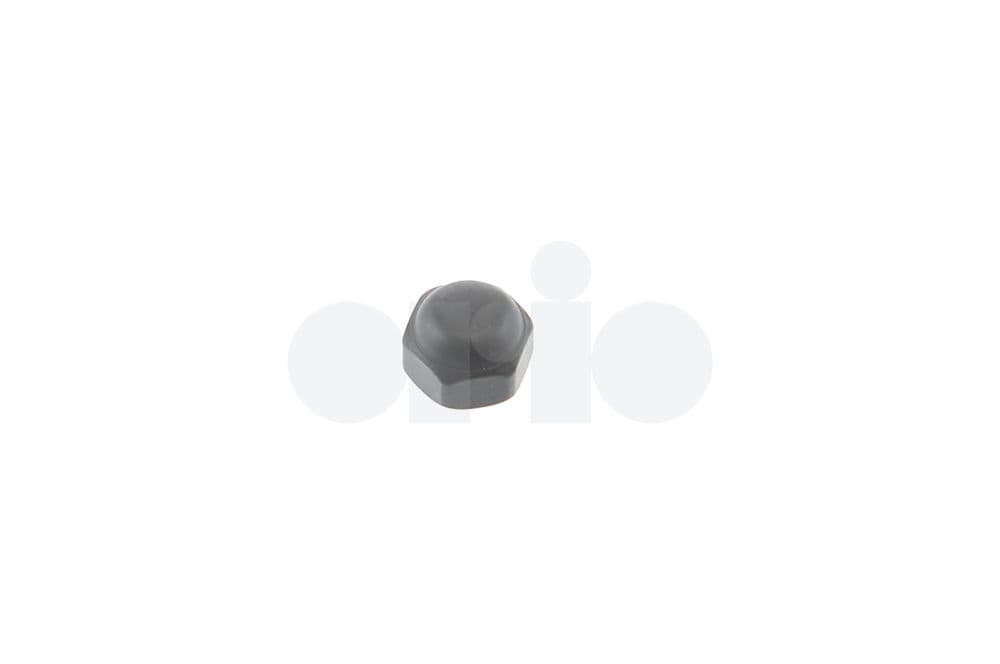 Cap nut