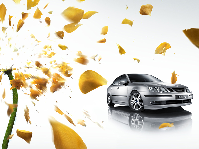 Saab 9-3 with leaves